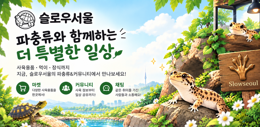 슬로우서울 배너